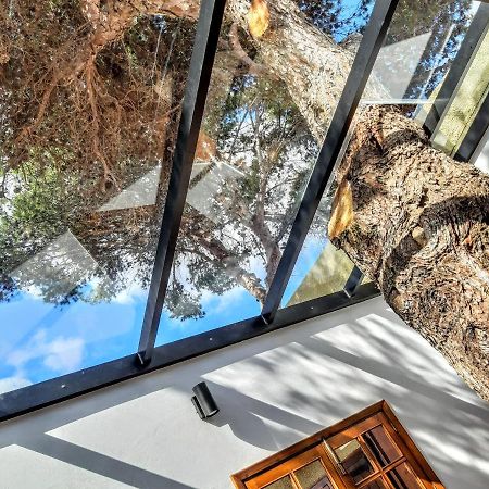 Beach Tree House Porto Santo Exterior foto
